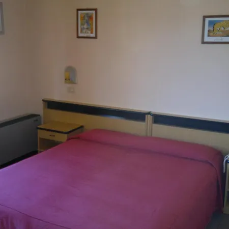 Hotel Centrale Otel
