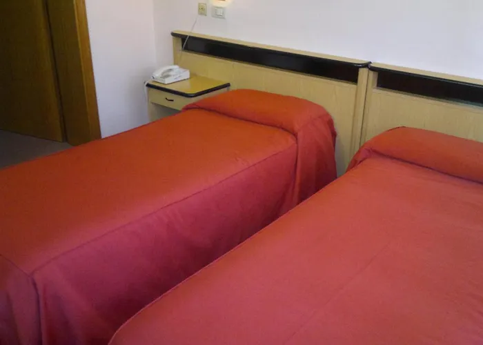 Otel Hotel Centrale 3*